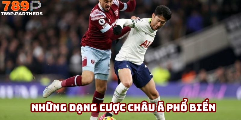 Những dạng cược phổ biến ở kèo châu Á