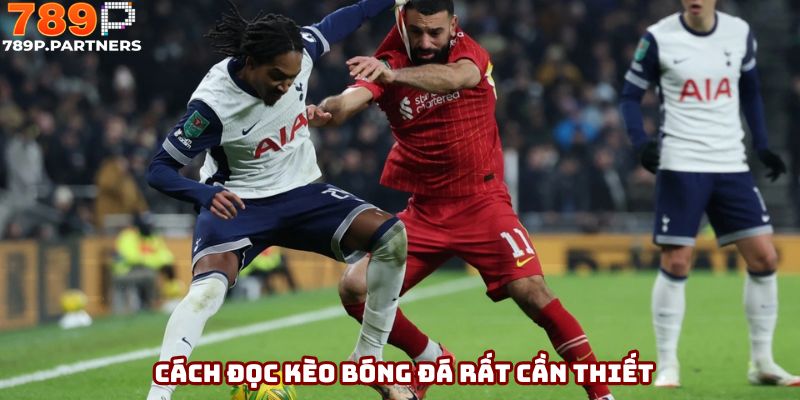 Cách đọc kèo bóng đá rất cần thiết khi tham gia đặt cược