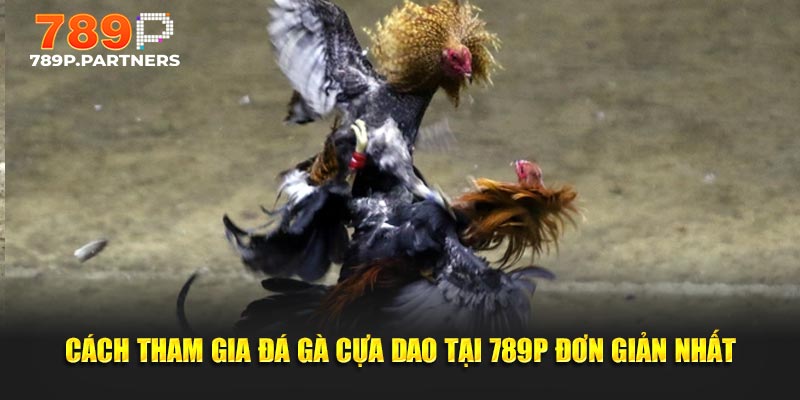 Cách tham gia đá gà cựa dao tại 789P đơn giản nhất