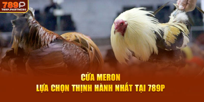 Cửa Meron - Lựa chọn thịnh hành nhất tại 789P