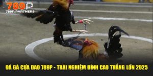 Đá Gà Cựa Dao 789p - Trải Nghiệm Đỉnh Cao Thắng Lớn 2025