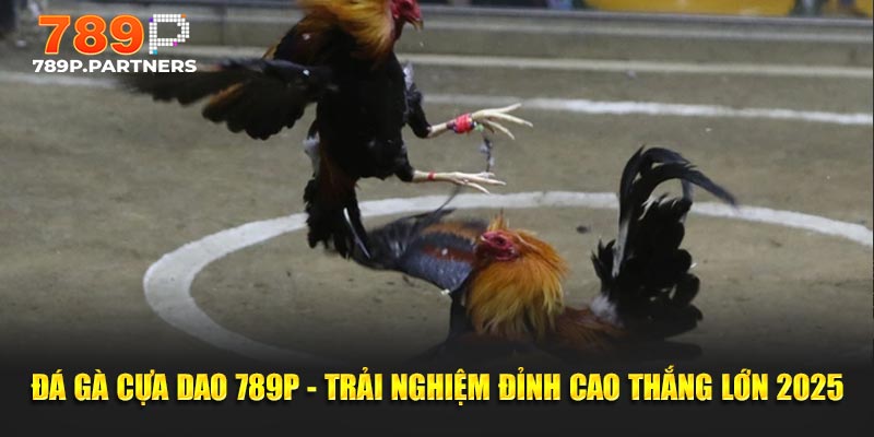 Đá Gà Cựa Dao 789p - Trải Nghiệm Đỉnh Cao Thắng Lớn 2025
