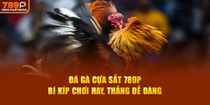 Đá Gà Cựa Sắt 789P - Bí Kíp Chơi Hay, Thắng Dễ Dàng