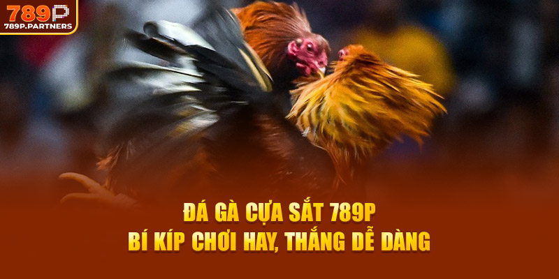Đá Gà Cựa Sắt 789P - Bí Kíp Chơi Hay, Thắng Dễ Dàng