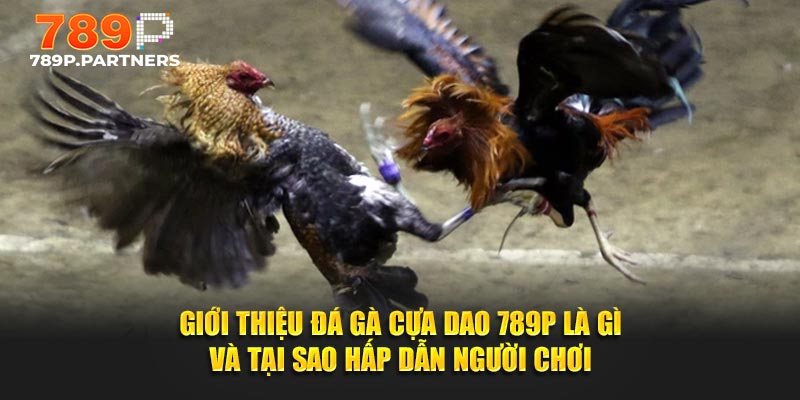 Giới thiệu Đá gà cựa dao 789P là gì và tại sao hấp dẫn người chơi