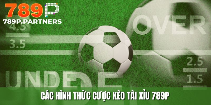 789P cung cấp đa dạng thể loại kèo tài xỉu cho thành viên