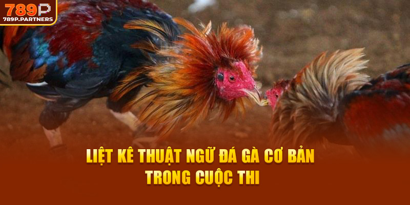 Liệt kê thuật ngữ đá gà cơ bản trong cuộc thi