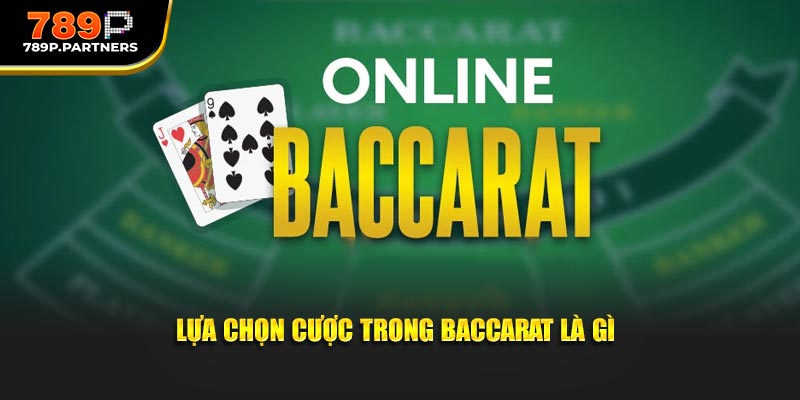 Lựa chọn cược trong baccarat là gì