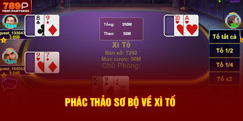 Phác thảo sơ bộ về xì tố