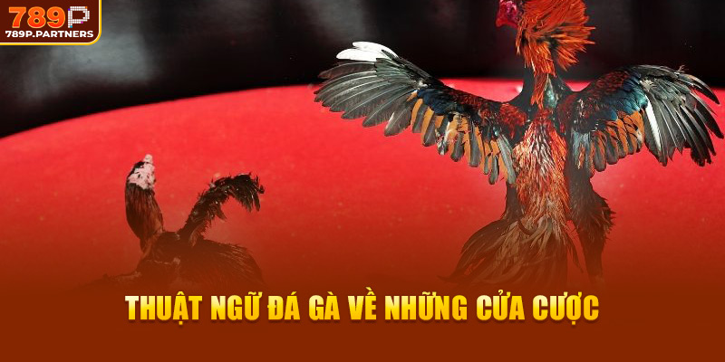 Thuật ngữ đá gà về những cửa cược