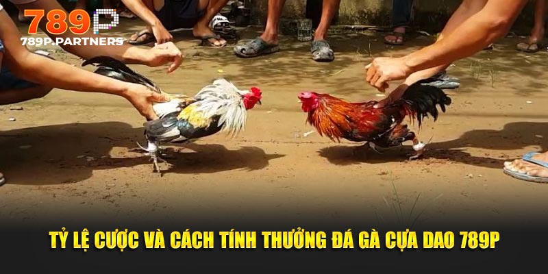 Tỷ lệ cược và cách tính thưởng đá gà cựa dao 789P